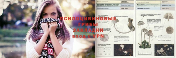 гашиш Пересвет