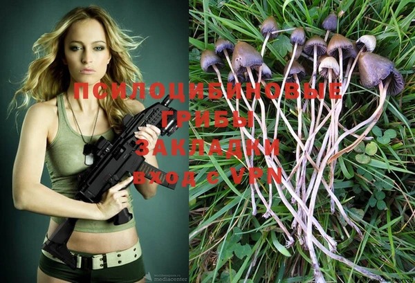 гашиш Пересвет