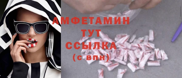 гашик Осинники