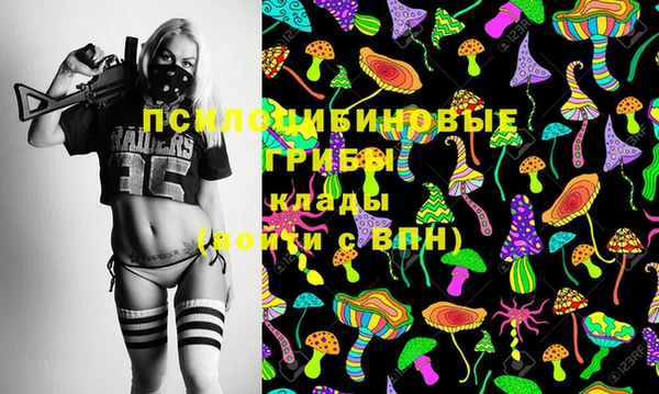 прущие грибы Переславль-Залесский