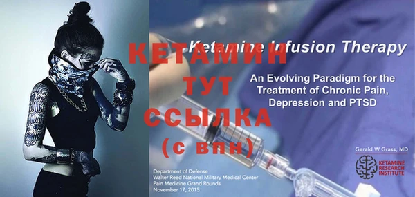 прущие грибы Переславль-Залесский